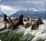 Ushuaia, Argentina