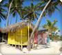Caribbean