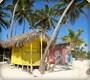 Caribbean