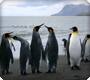 Falkland Islands
