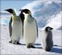 Antarctica