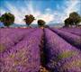 Provence, France