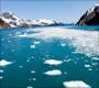 Tracy Arm Fjord, Alaska