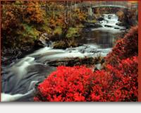 Canada and New England Voyages