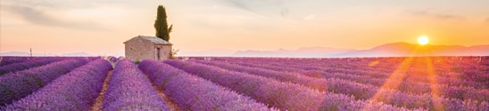 Provence