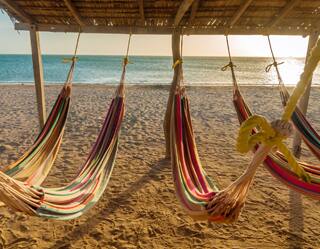 Caribbean
