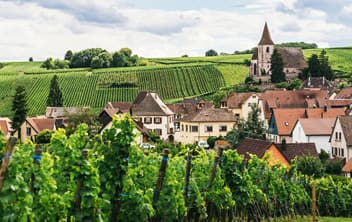 Pauillac (Bordeaux), France