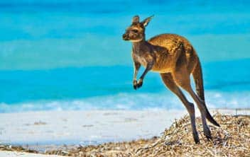 Esperance, Australia