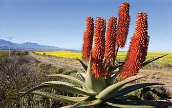 Mossel Bay, South Africa