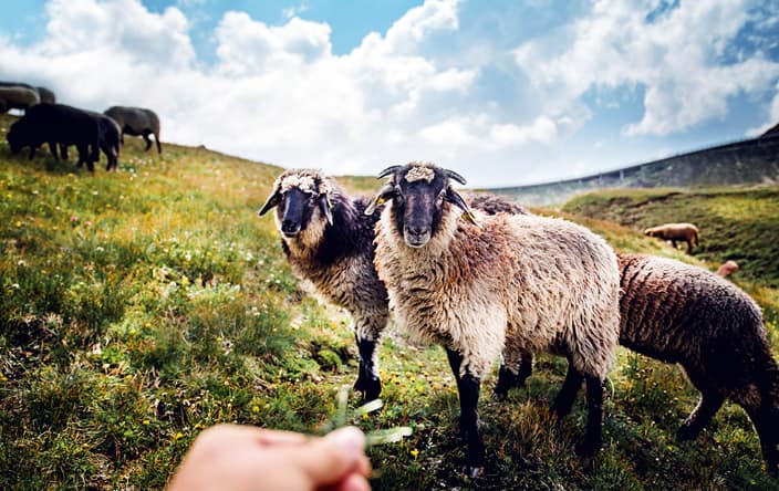 OCEANIA CRUISES UNVEILS 2021-22 TROPICS AND EXOTICS VOYAGES - New Value Added Exclusives, New Ports, and 75 Brand New Itineraries