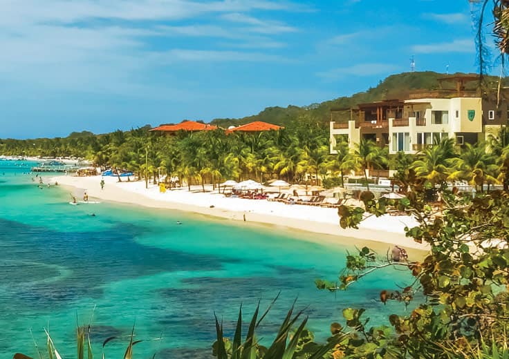 Tropical Retreats