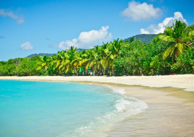 Alluring Antilles