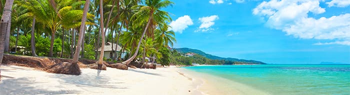 Connecting in Ko Samui: Six Ways to Commune With Nature
