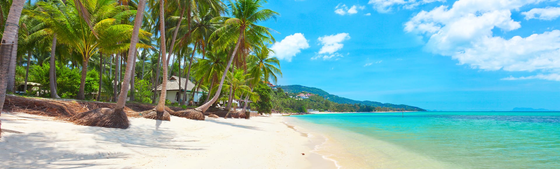 Connecting in Ko Samui: Six Ways to Commune With Nature