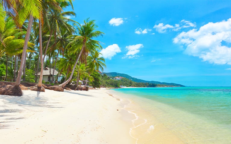 Connecting in Ko Samui: Six Ways to Commune With Nature