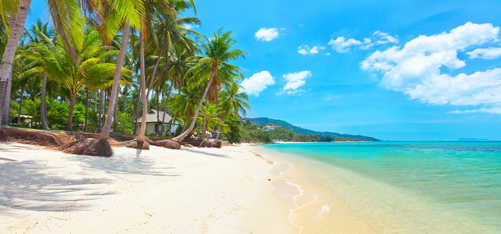 Connecting in Ko Samui: Six Ways to Commune With Nature
