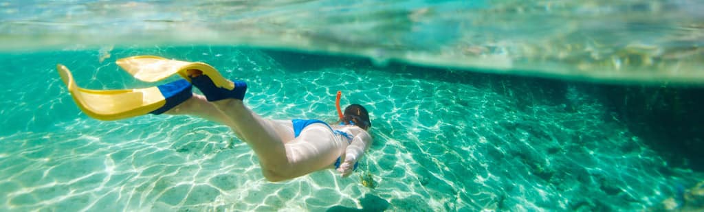 See the coral reefs, fishes or stingrays as you snorkel the waters of an eastern Caribbean island beach.