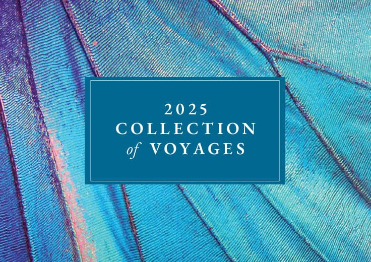 2025 Collection of Voyages with simply MORE
