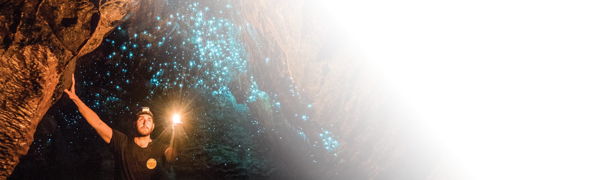 glowworm caves, new zealand
