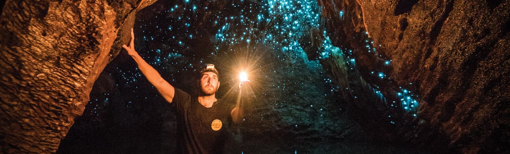 glowworm caves, new zealand