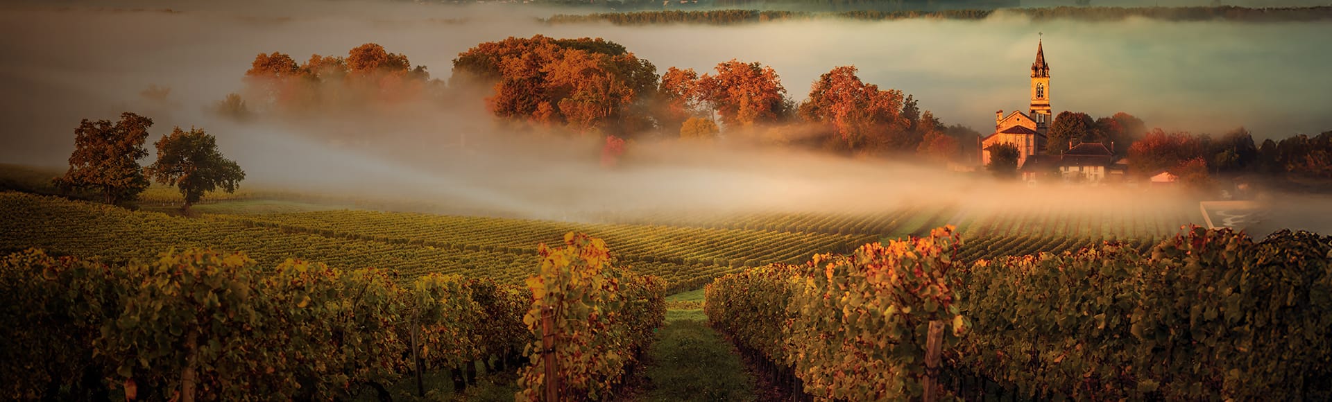 Oceania Cruises Exceptional Savings Offer, up to 40% off