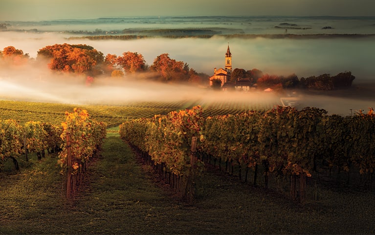 Oceania Cruises Exceptional Savings Offer, up to 40% off