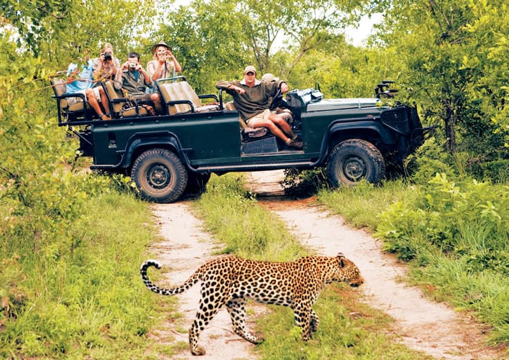 Grand Voyages Shore Excursions Zulu Nyala Safari