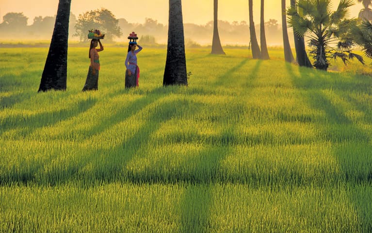 Oceania Cruises Exotics Voyages Brochure. Surabaya, Indonesia