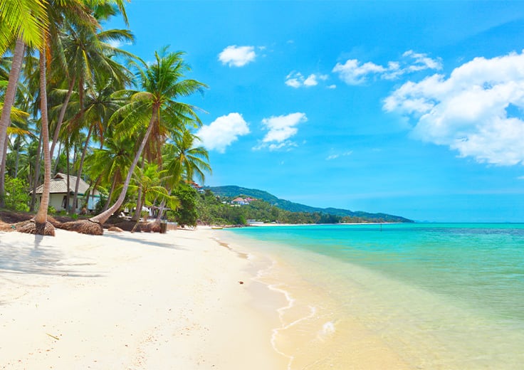 Connecting in Ko Samui: Six Ways to Commune With Nature