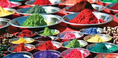 cruise season in india India Social