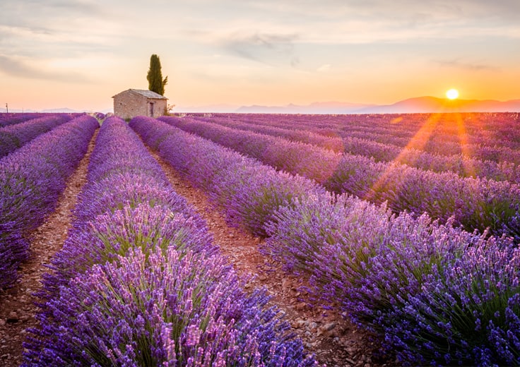  Photo Credit: Oceania Cruises