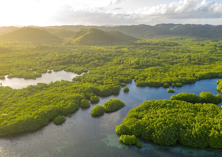 South Pacific Splendor