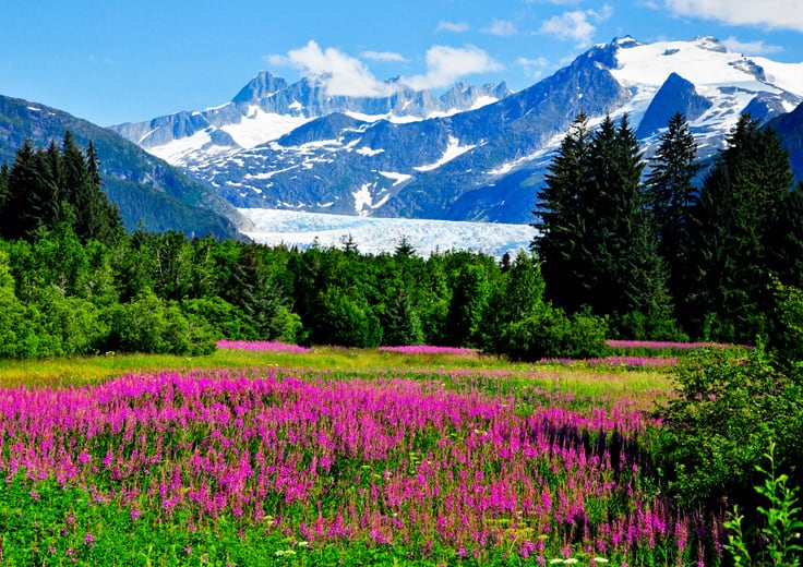 Alaska Discoverer