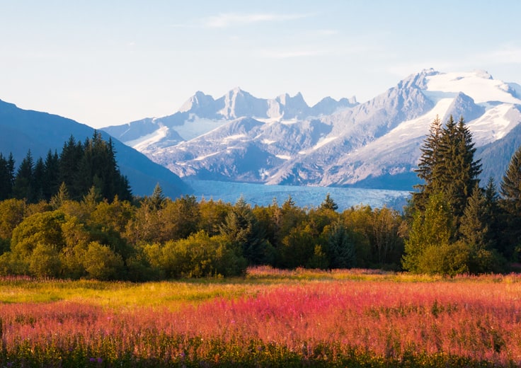 Alaska Fjords & Forests