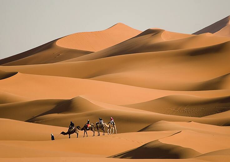 Dubia, UAE