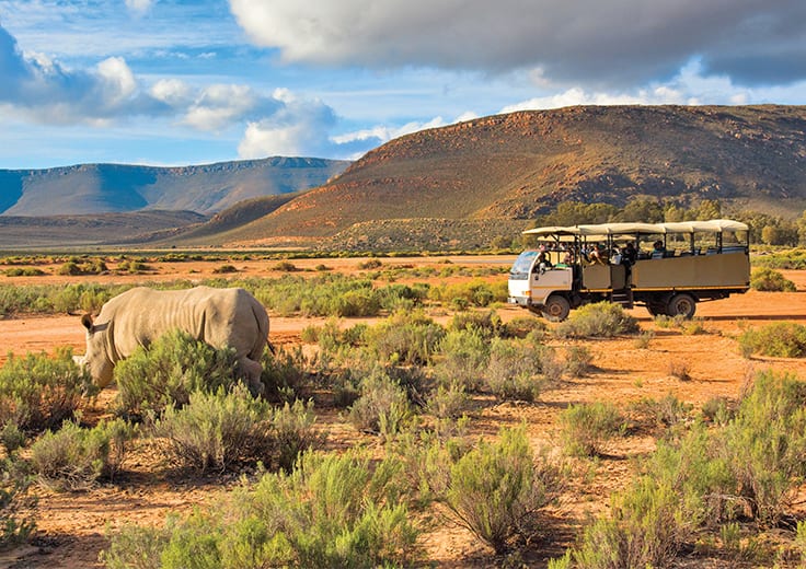 Safari Adventure Kruger National Park