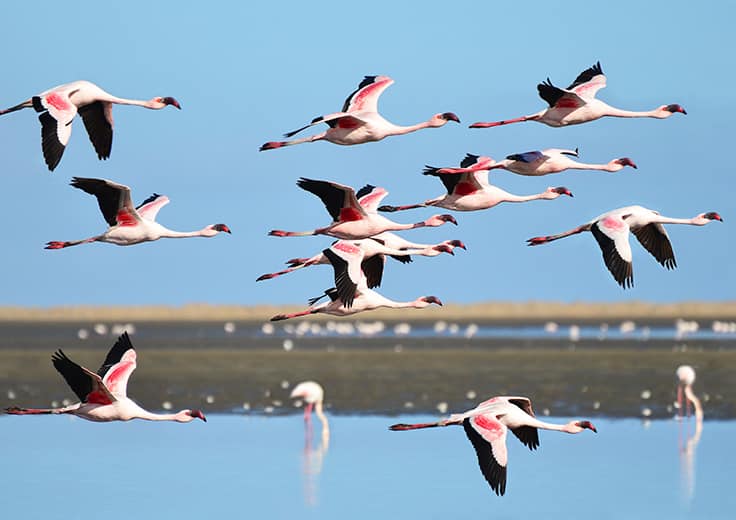 Walvis Bay, Nambia