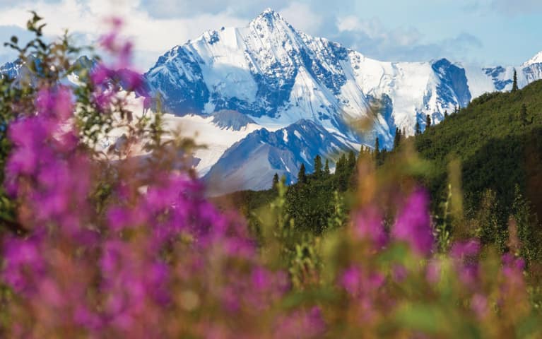 Oceania Cruises to Alaska