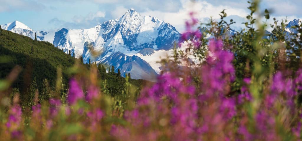 Oceania Cruises to Alaska
