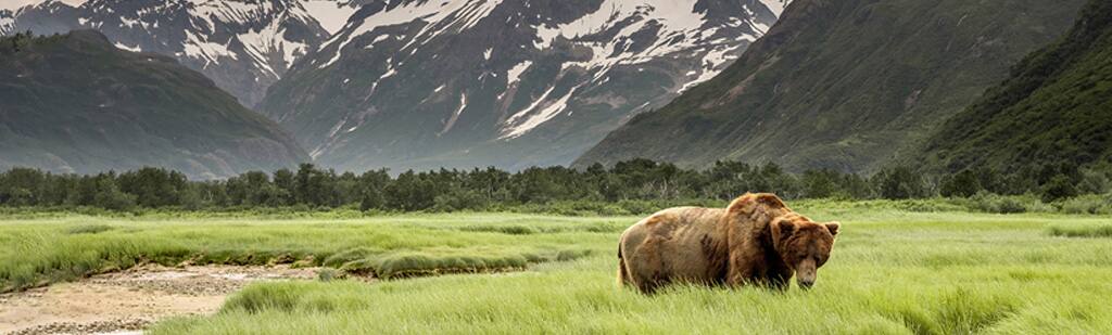 Alaska The Last Frontier
