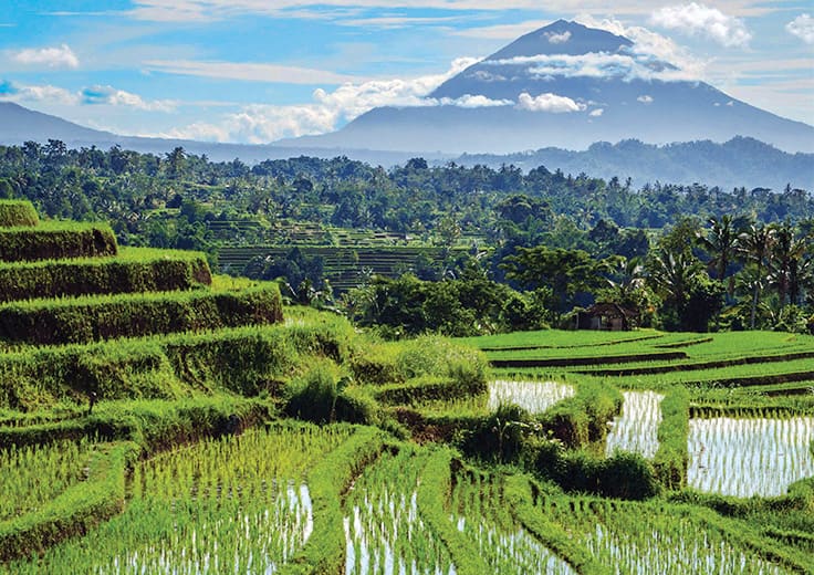 Around the World 2025 Bali (Benoa), Indonesia