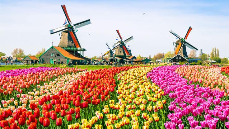 Windmills Land, Netherlands
