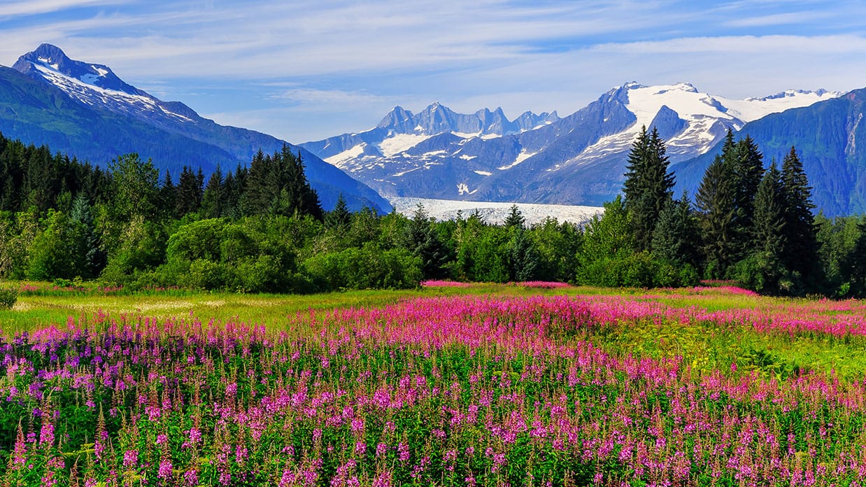 oceania cruises, alaska