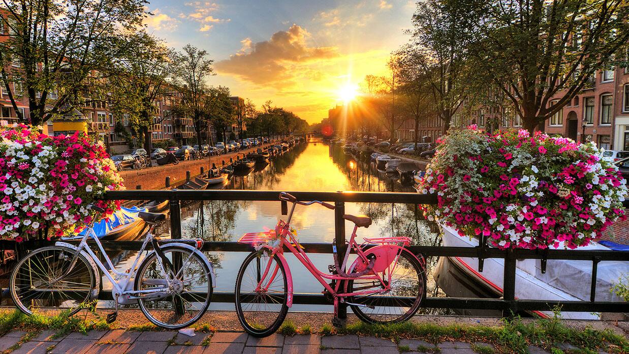 oceania cruises, netherlands