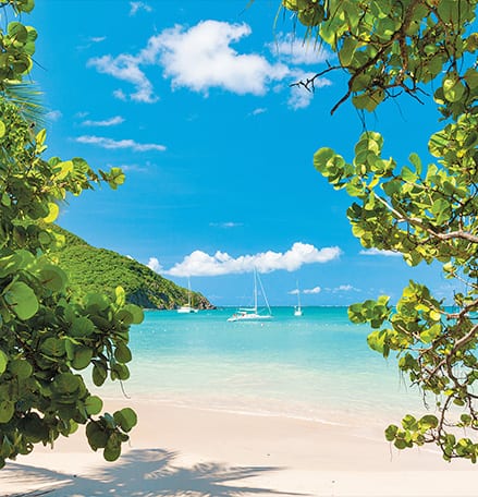 Caribbean Exclusive Offer