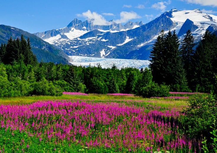 Alaska