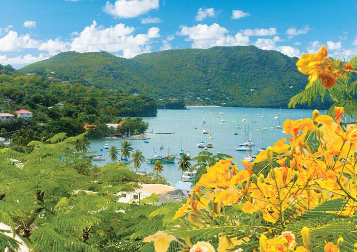 Cruises To St Vincent 2024 From Miami Casie Hyacinth