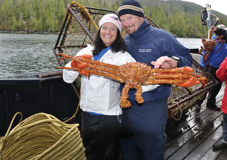 North America Culinary Discovery Tours