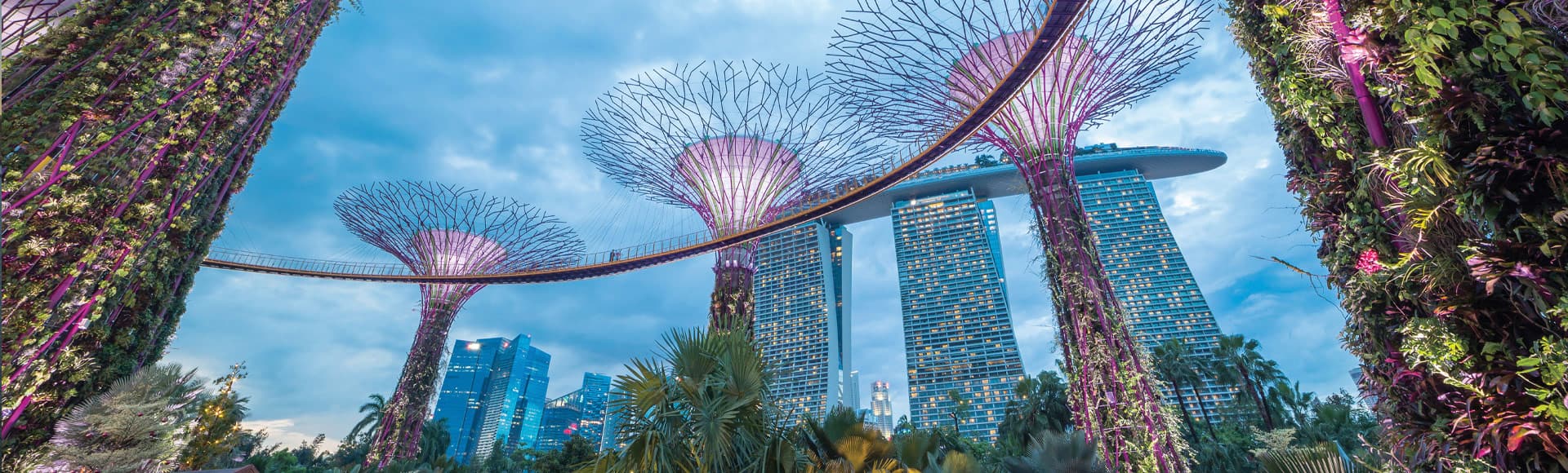 Cruises to Asia with Oceania Cruises