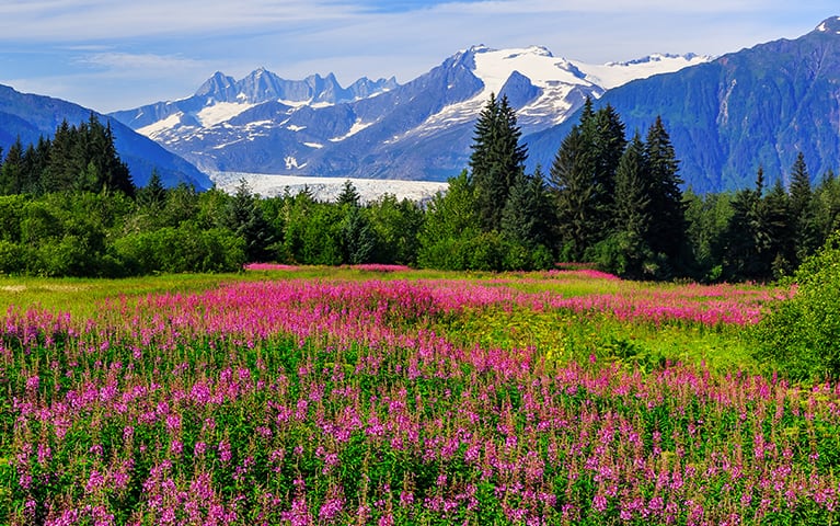 Cruises to Alaska